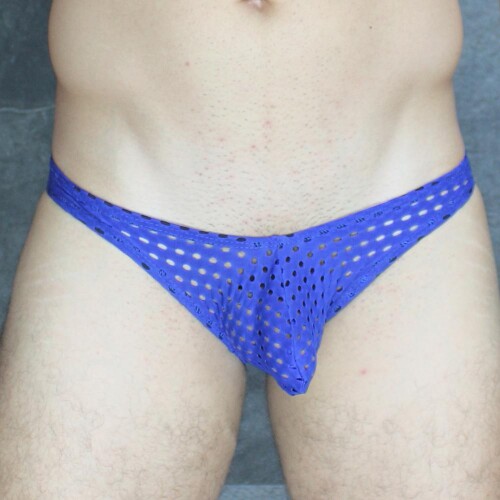 mckillop-vkhq-hoist-bikini-glory-lycra-royal-M.jpeg