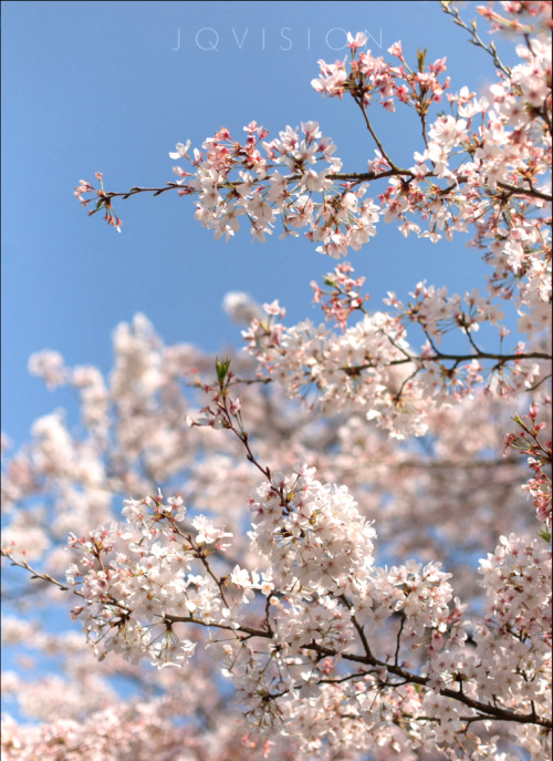 007a7bf63f98ab6c876.png