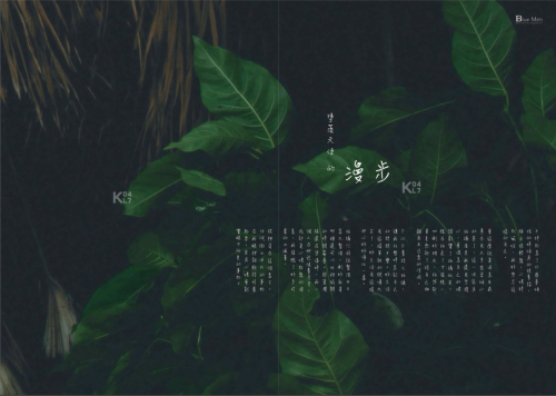 00631012a1a3a862daa.png