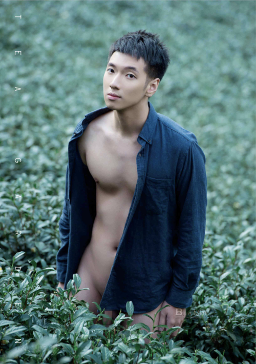 007964bae9f809ef494.png