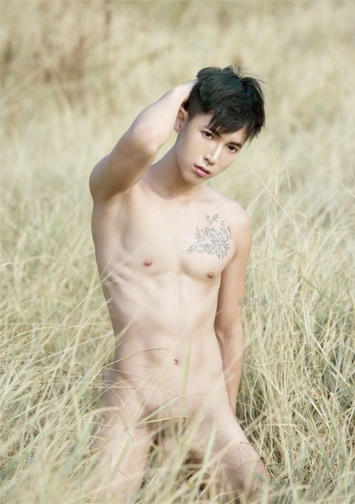 011c6d5f8026c60d46a.png
