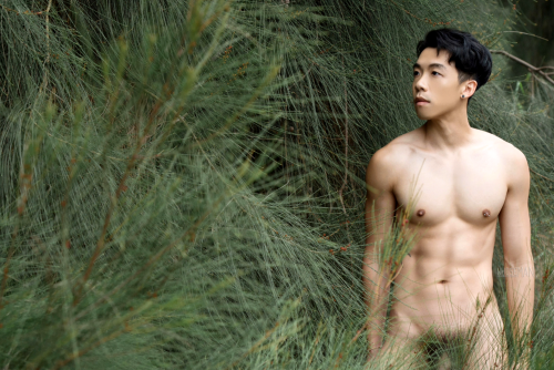 017807a6d5275bb53ee.png