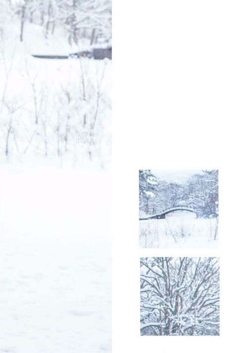 019c8943480758fbb57.png