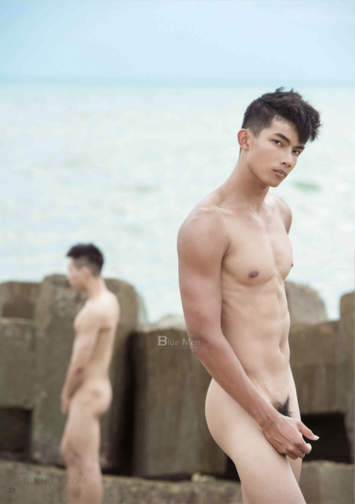 03794b8780260f2cdf3.png