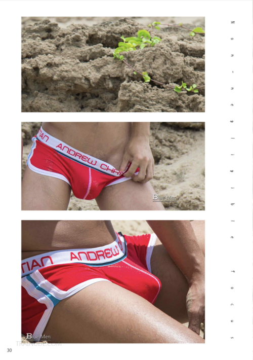 0379a48bc3bea67f56c.png