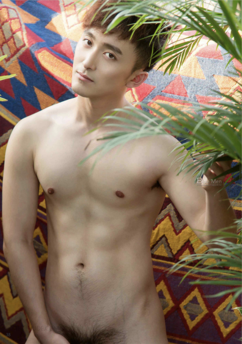0482c793f47002bf87b.png