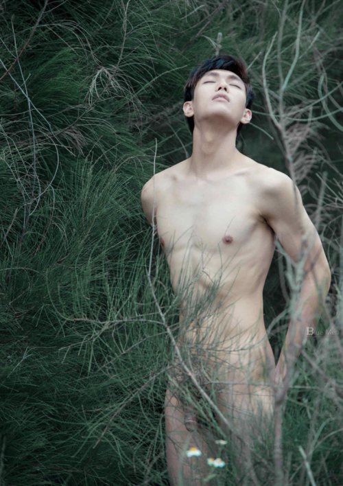 04996c4dae7787a943a.png