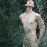 04996c4dae7787a943a
