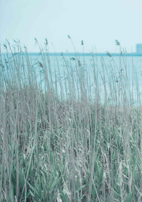 049a46a69cb575d5f17.png