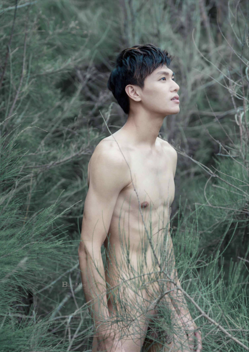 05281ef2dd4a93eb3ef.png