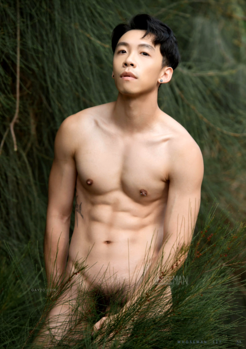 0548ff3a06aef7d5686.png