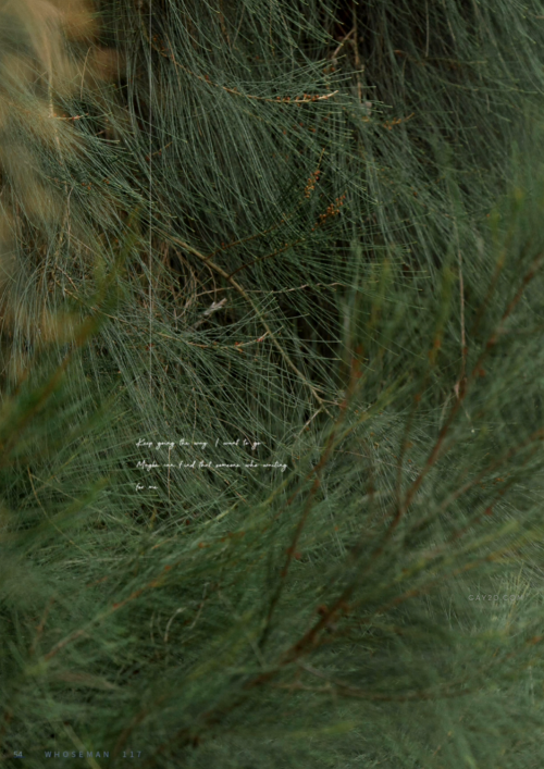 055bfb9bb02c7b076d6.png