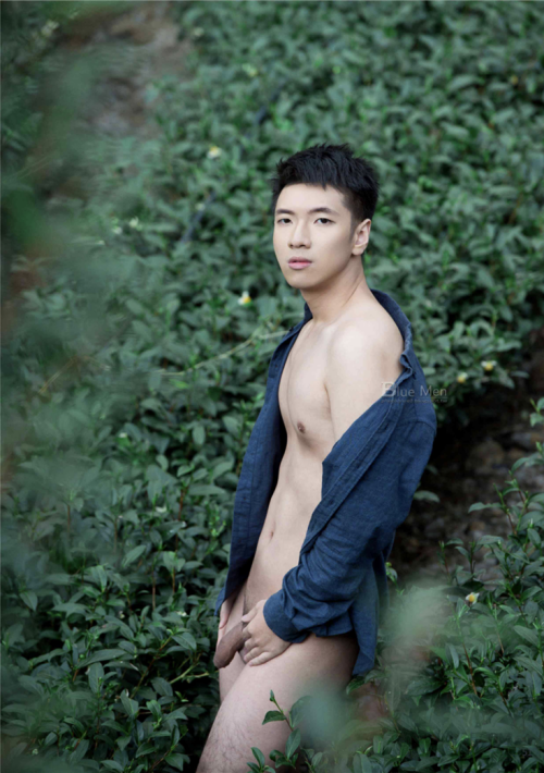 060955d9d31a74009fb.png