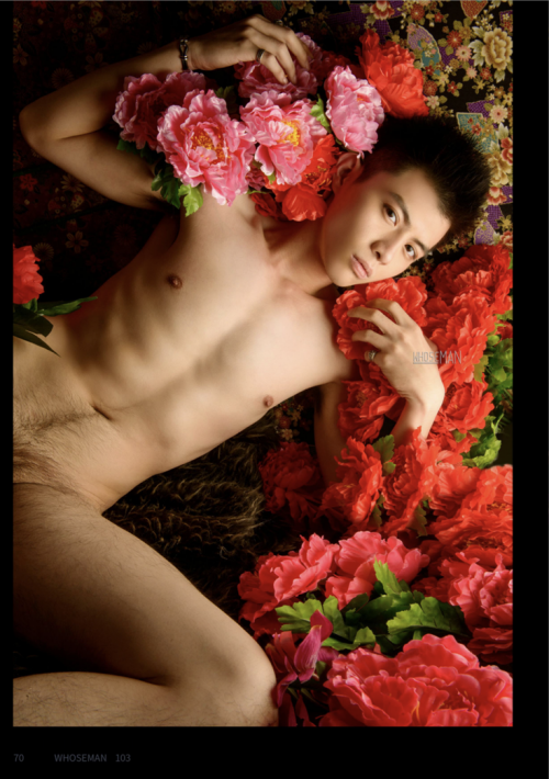060bfed8bbb3a800b07.png