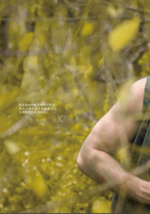 060d9cd361db4940347.png