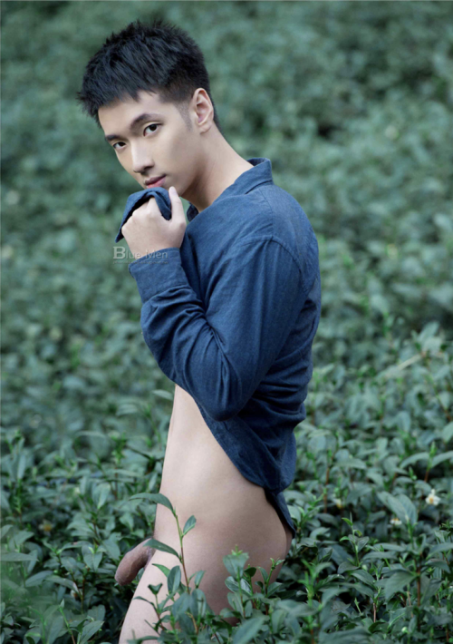062f502b1e91530eb86.png
