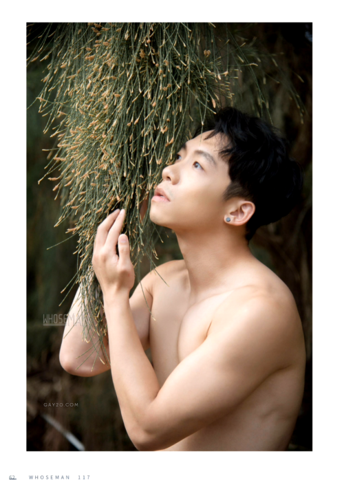 063df810cf62019941a.png