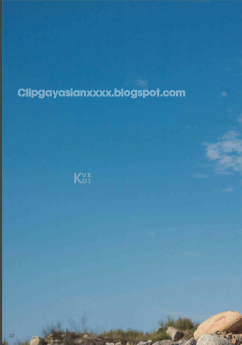 06616bc88028d832913.png
