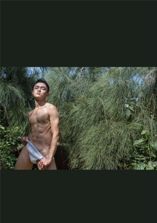 075c23497e4c927f806.png