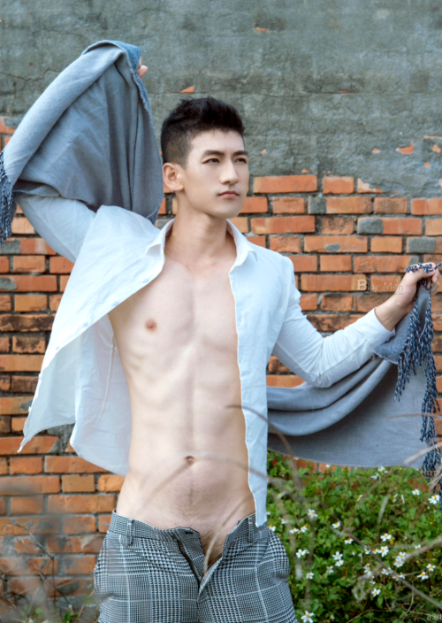 0786bed36191aee2008.png
