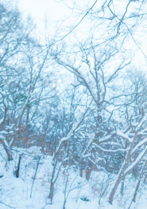 083f323c987a8b0c416.png