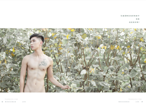 086a41edeeb6307bae8.png