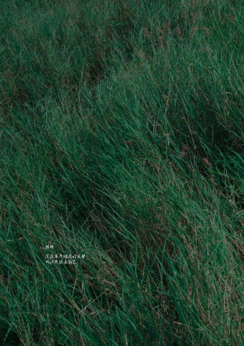 088f906fdc4d3edfc8f.png