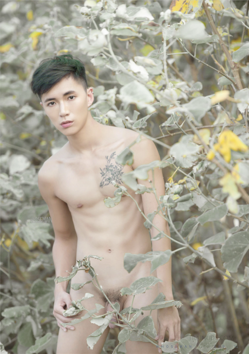 090fff75d4feceaf119.png