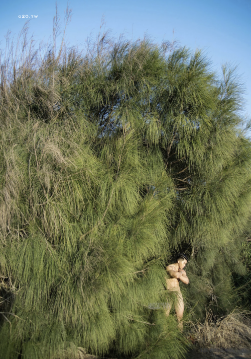 09104ded39ccf48a126.png