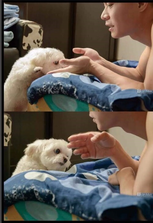 091a7941a8b295e203b.jpeg