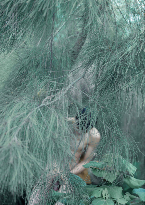 09550263f126b7cb9aa.png