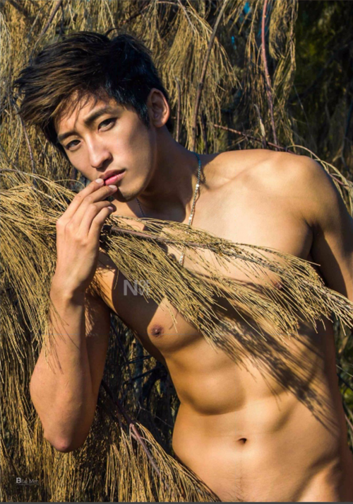 09821a087cd537518d9.png