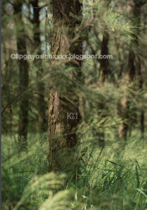 102056f1e0ef29c5f16.png