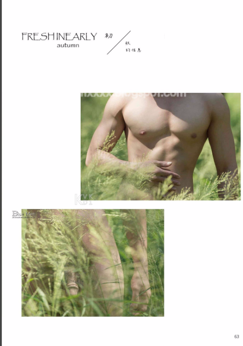 1074ab06fa670ccb79b.png