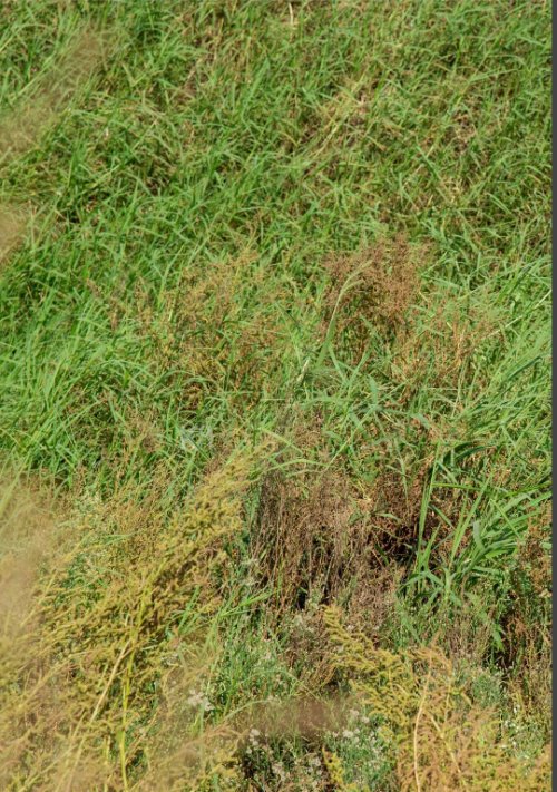 108abf434360302d015.png