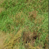 108abf434360302d015