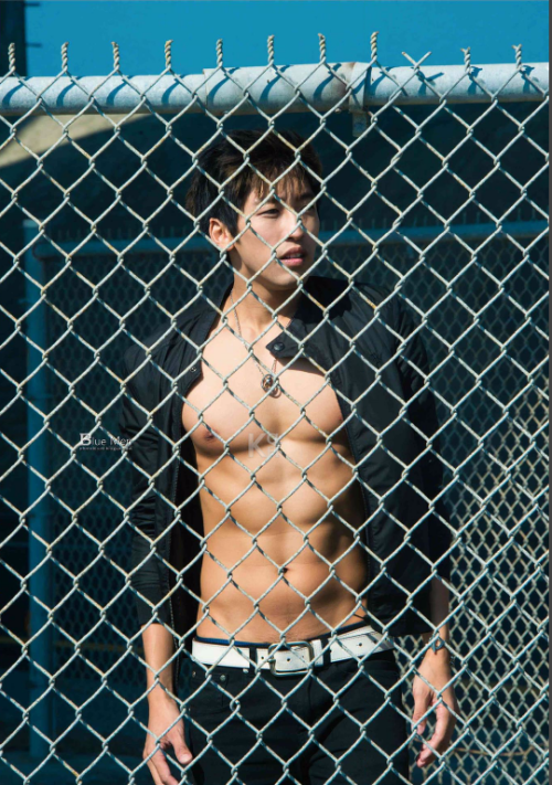 111454c291368eb2dc1.png