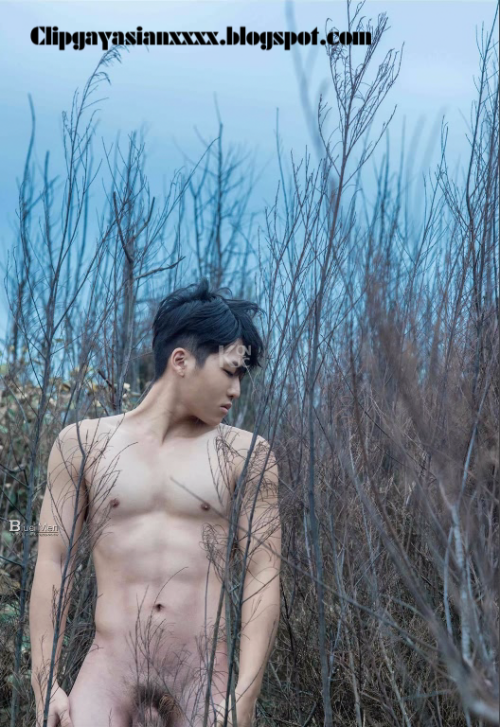 1116c713d3d42a03741.png
