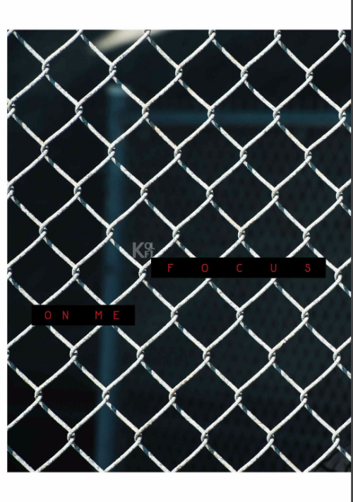 1199ff41d518a00fb85.png