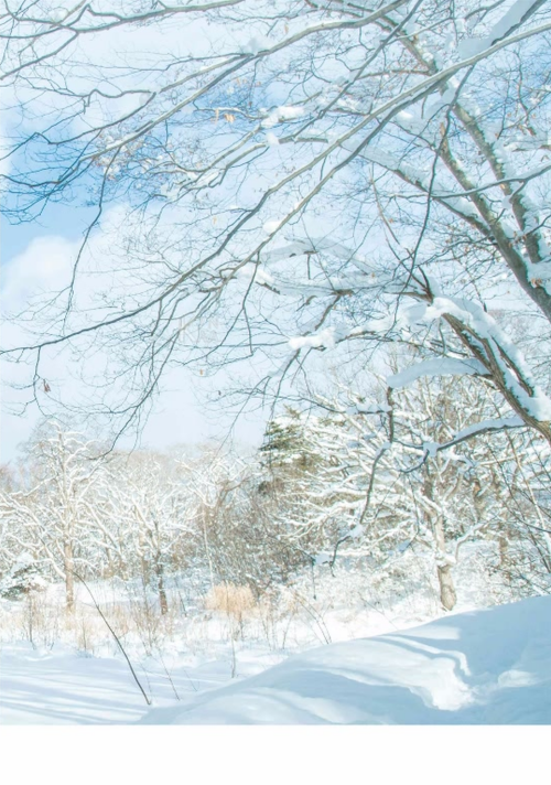 120b2b65ddb29365a72.png