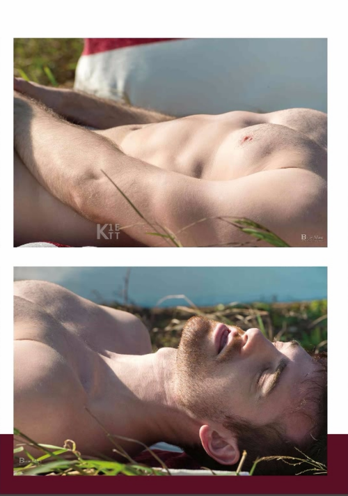 123f448c145cf1754f1.png