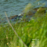 13203b59a66402aa59b