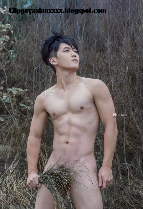 1415faf38228c753ada.png