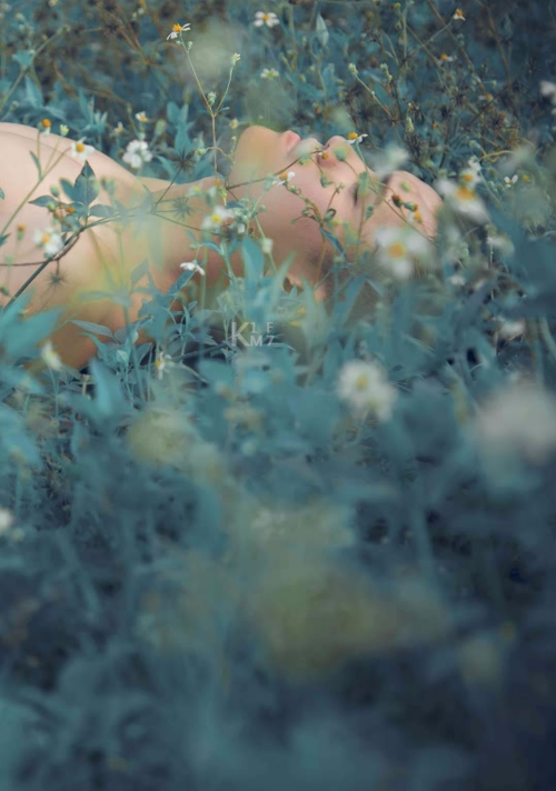 142d7adefce374d15e9.png