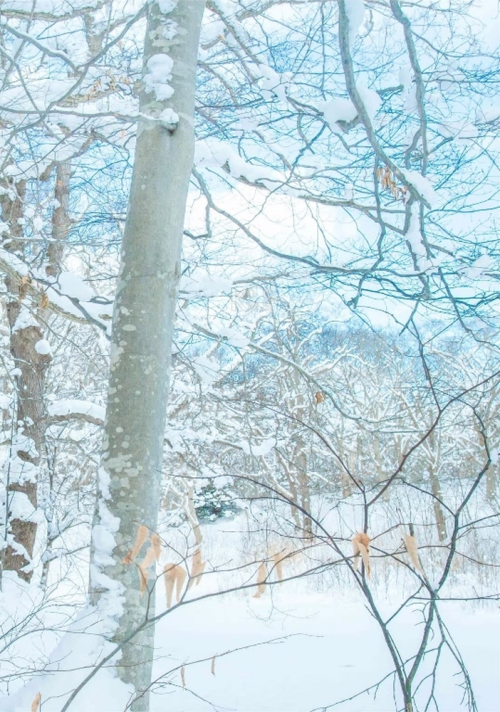 143f418411b39b473e7.png