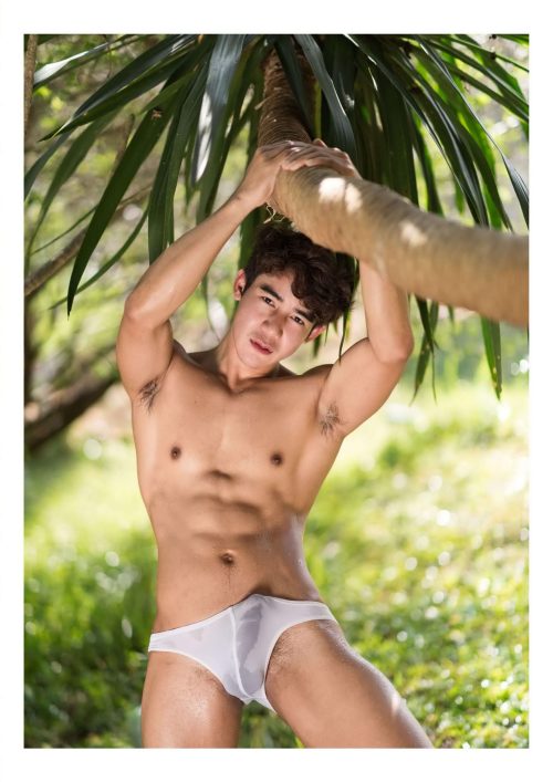 0317f6ac50d501cc86e.png