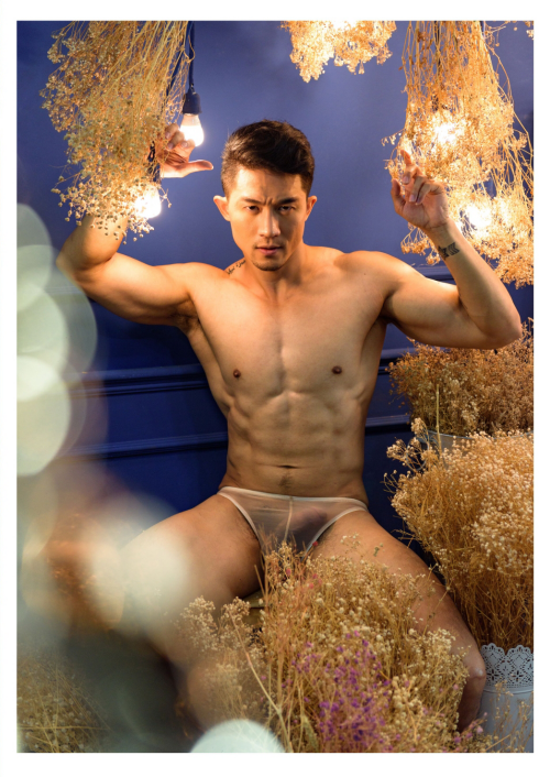 06129faca8790d3ac87.png