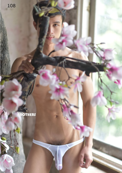 0820190b198f7c77208.png