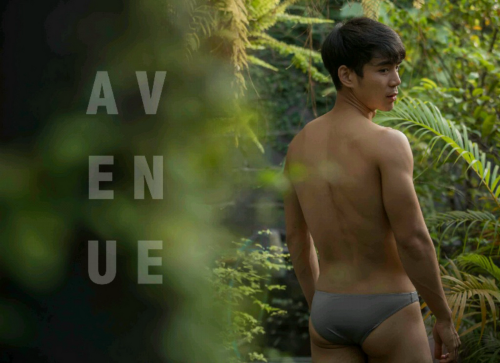 AVENUE2-065.png