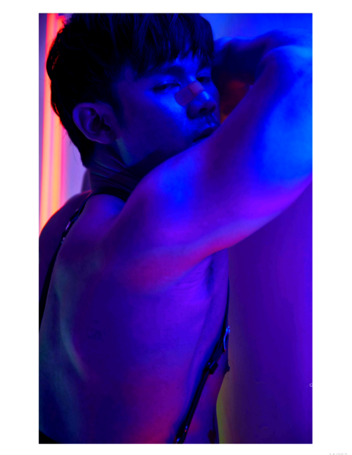 008eef72e753253fed2.png